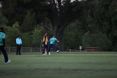 DSC_2411 (Large).JPG